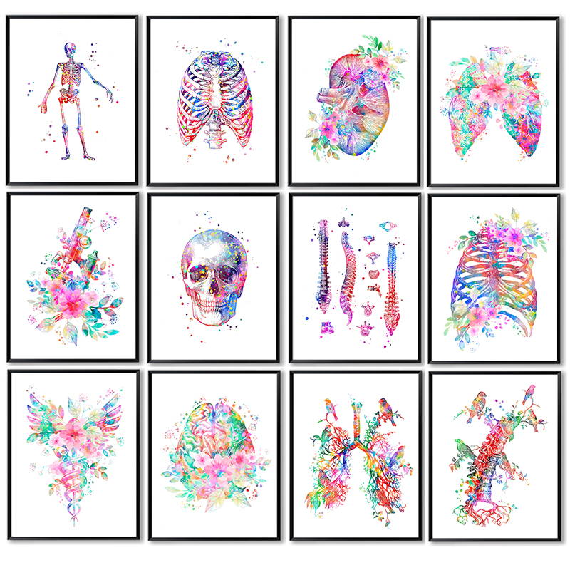 Anatomy Medical Poster Flower  - đánh giá và giá Medical Lab Posters