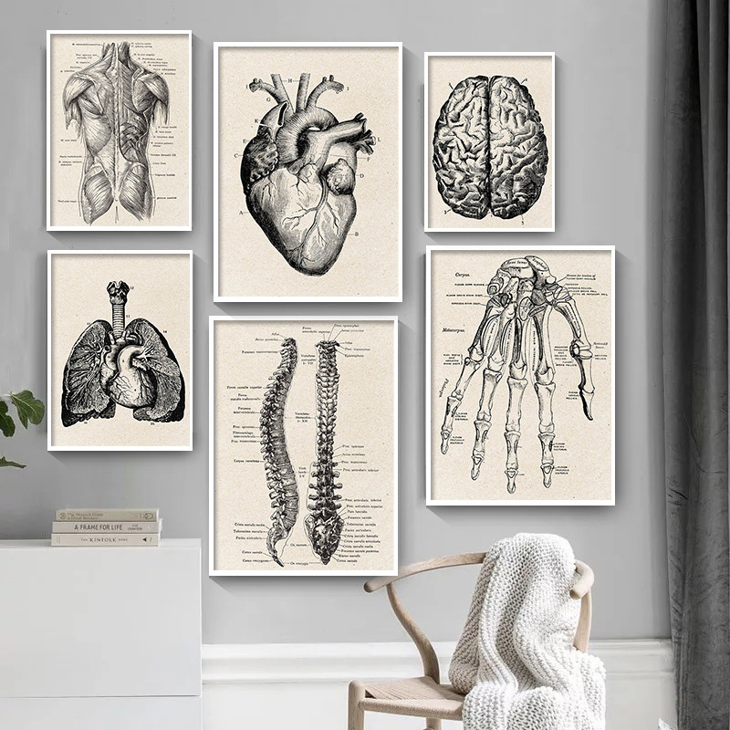 Thẩm Mỹ Trang Trí Phòng Anime  - đánh giá và giá Medical Lab Posters